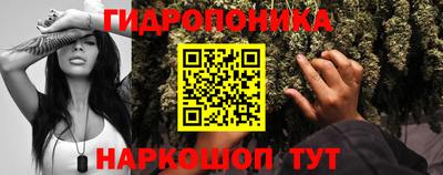 молекула духа Жуковский