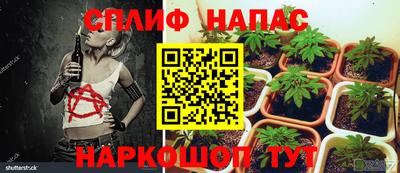 mdpv Заволжье