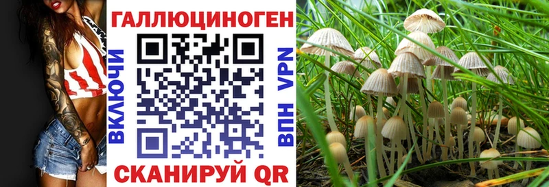 гидра ссылка Урус-Мартан Галлюциногенные грибы прущие грибы